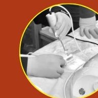 Intensive hands-on surgical training