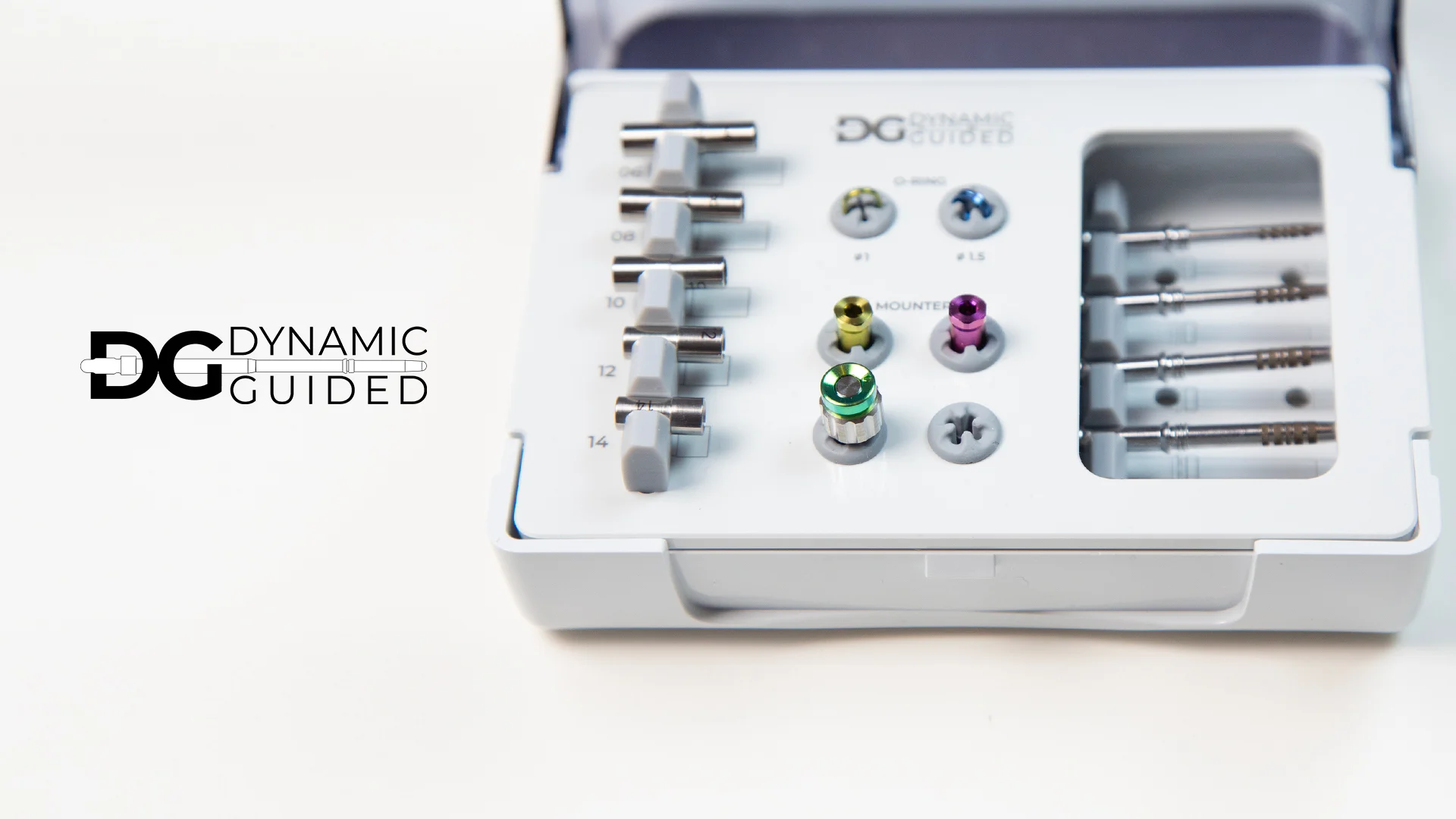 Dynamic Guided Standard